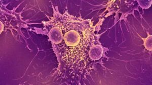 mRNA COVID vaccines may activate the immune system to identify and destroy…