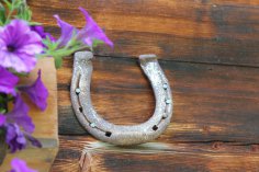 How to choose and hang a horseshoe for good luck
