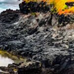 Earth’s Concealed, Potent ‘Regulator’ Could Overshoot Climate Adjustments
