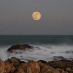 2025’s Beaver Moon: See the year’s largest, most radiant supermoon!