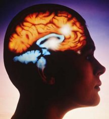 Our mind deceives its own brain