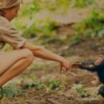 From tool use to warfare, here are five ways Jane Goodall revolutionized…