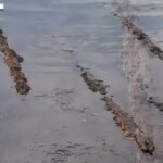 Florida Wreck Yields “Exceptional” Million-Dollar Coin Trove