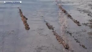 Florida Wreck Yields “Exceptional” Million-Dollar Coin Trove