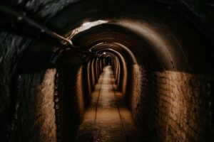 Man finds ‘network of tunnels’ under home as everyone has same advice