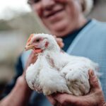 Don’t Rely on Roosters: Death’s Most Gruesome Paths, Explored by a Medical…