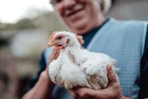 Don’t Rely on Roosters: Death’s Most Gruesome Paths, Explored by a Medical…