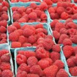 Raspberry: can our favorite berry become a protector of our blood vessels?