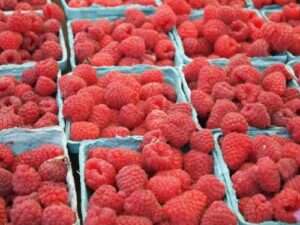 Raspberry: can our favorite berry become a protector of our blood vessels?