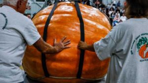 Pumpkin Size vs. Blueberry Size: The Reason for the Difference
