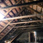 We built ourselves a house with an attic, and now we're discouraging…