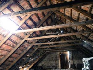 We built ourselves a house with an attic, and now we're discouraging…