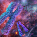 X Chromosome Gene: Possible Link to Elevated Female MS Incidence