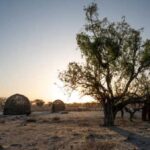 Distinct genetic variations among Kenya’s Turkana population could aid their desert heat…