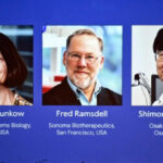 Medical Nobel Awarded to Three for Autoimmunity Research