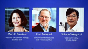 Medical Nobel Awarded to Three for Autoimmunity Research