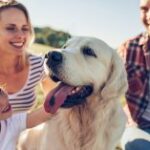 A dog is a friend of the family