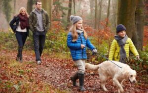 How do pets help us?