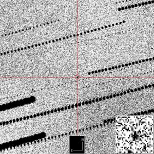 Asteroid, as tall as a giraffe, zipped by Earth nearer than satellites;…