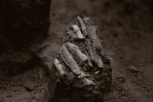Archaeologists have discovered Ice Age hunting tools in the Czech Republic.