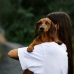 Hold me in your arms – why even adult pets want to…