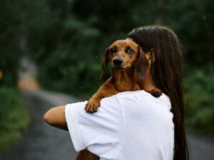 Hold me in your arms – why even adult pets want to…
