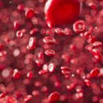 Scientists have found a protein that “rejuvenates” the blood
