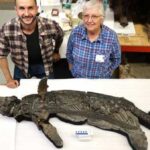 Jurassic ‘sword lizard’ discovery may unlock an evolutionary puzzle.