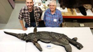 Jurassic ‘sword lizard’ discovery may unlock an evolutionary puzzle.