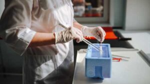 Skin to Egg: Human Embryos Created in Lab
