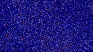 Cosmic Dawn Beckons: Scientists Nearing Detection of Clues from Universe’s Infancy