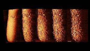 Antibiotic Vanquishes Bacteria: Real-Time Visuals