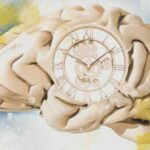 Time Perception: Age’s Accelerating Effect, Explained.