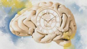 Time Perception: Age’s Accelerating Effect, Explained.