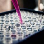 Hope in the fight against cancer: technology created that teaches the immune…