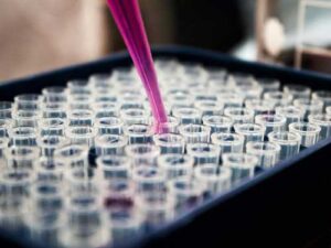 Hope in the fight against cancer: technology created that teaches the immune…
