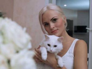 Why you can't put a cat down from your hands/knees, but you…