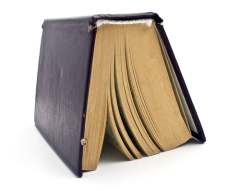 A dandy and a… mug: what do they have in common? From…