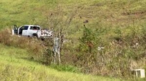 Mississippi: One of three lab monkeys recovered after escape following wreck.