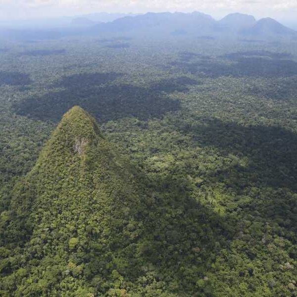 El Cono: A mysterious pyramidal hill rising above the Amazon rainforest and…