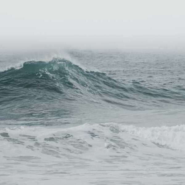 Data from the North Sea shows that “rogue waves” can reach heights…