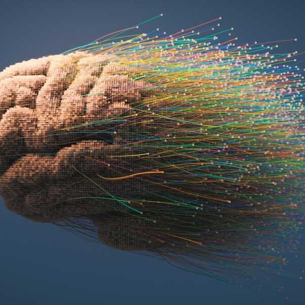 Memories in the brain are not static – they “drift” over time.
