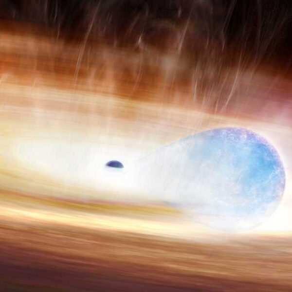 Spotify-like AI helps spot never-before-seen supernova as greedy star tries to swallow…