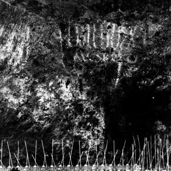 Centuries-old graffiti found at supposed Last Supper site