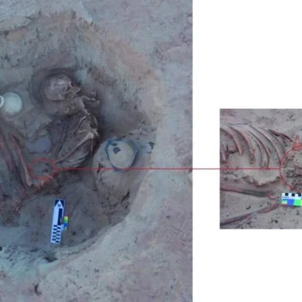 Scientists Find Remains of 3,700-Year-Old Woman and Her Fetus