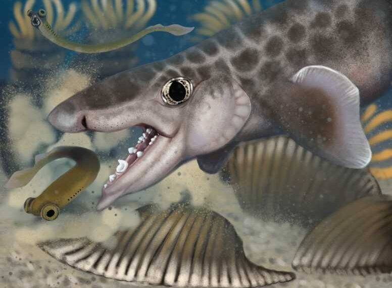 Ancient Shark Discovered Deep Inside World’s Longest Cave System