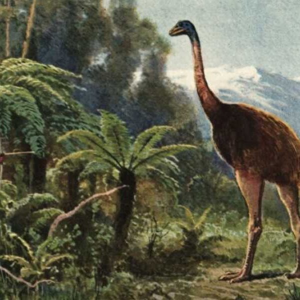 ‘We’re bringing back feathered dinosaurs’: De-extinction company claims to bring back giant&hellip;