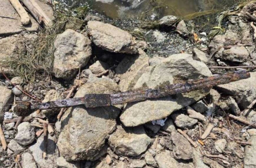 Fisherman finds medieval sword in Polish Vistula River