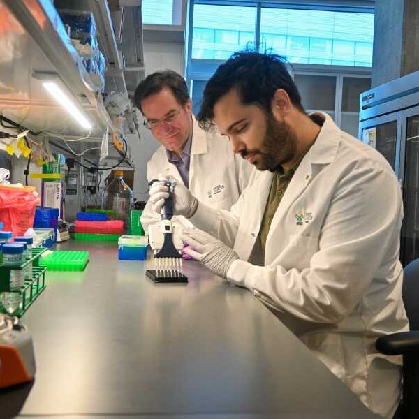 PAC-MANN uses magnets and glowing ‘probes’ to detect signs of pancreatic cancer