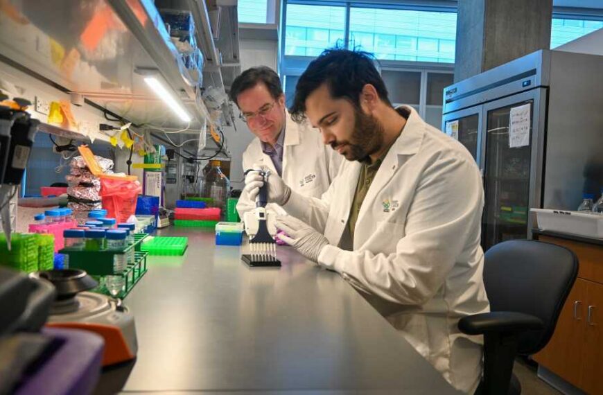 PAC-MANN uses magnets and glowing ‘probes’ to detect signs of pancreatic cancer